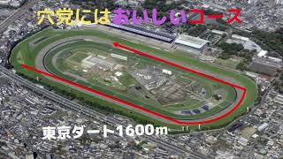 高配当レース（東京競馬場ダート1600ｍ）