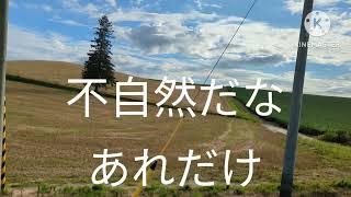 @名前はジュンジュン 　富良野の大地＆セブンスターの木#北海道#一人旅#車中泊