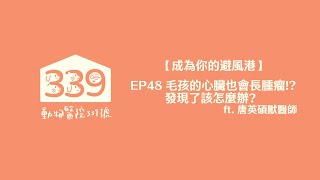 【成為你的避風港】EP49 毛孩的心臟也會長腫瘤!?發現了該怎麼辦? ft  唐英碩獸醫師