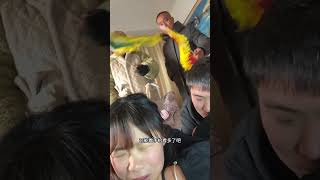 催婚催的越来越离谱了，也不知道这又是个哪学来的催婚模式#催婚 #花式催婚 #你们被催婚了吗 #当你到适婚年龄时 #催婚日常