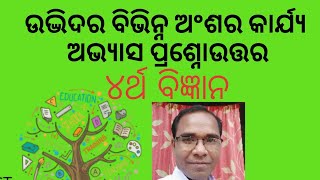 BnMedia#୪ର୍ଥ ବିଜ୍ଞାନ#ଉଦ୍ଭିଦର ବିଭିନ୍ନ ଅଂଶର କାର୍ଯ୍ୟ ( ପାଠ୍ୟ ପୁସ୍ତକର ଅଭ୍ୟାସ କାର୍ଯ୍ୟ  )