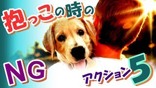 【飼い主マナー】愛犬を抱っこする時のダメ(NG)な行為５選＜必見＞