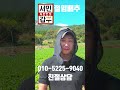 서민갑부절임배추 해남절임배추 20키로1박스에 몇포기들었나요 세척 절임배추 김장 김치 무름병 배추 해남절임배추 절인배추 서민갑부절임배추 절임배추20kg 몇포기