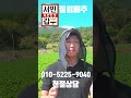 서민갑부절임배추 해남절임배추 20키로1박스에 몇포기들었나요 세척 절임배추 김장 김치 무름병 배추 해남절임배추 절인배추 서민갑부절임배추 절임배추20kg 몇포기