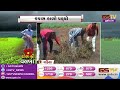 amreli કમોસમી વરસાદે ખેડૂતોની કમર તોડી gstv gujarati news