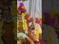 Murugan Thirukalayanam #madurai #shortvideo #shorts #murugan #deivanai #valli #thirukalyanam #muruga