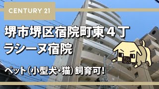 堺市堺区宿院町東４丁の賃貸【ラシーヌ宿院】ペット（小型犬・猫）飼育可！