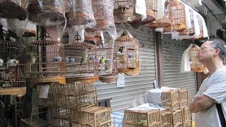 Yuen Po Street Bird Garden Hong Kong - Full Walkthrough