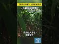 《漫長的季節》文學策劃班宇分析劇版結局意味 漫長的季節 班宇 作家