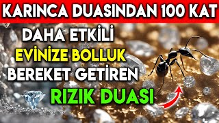 KARINCA DUASINDAN 100 KAT DAHA ETKİLİ EVİNİZE BOLLUK, BEREKET GETİREN RIZIK DUASI