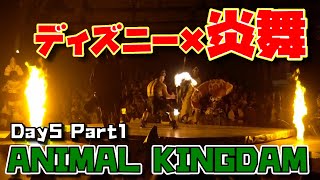 ディズニー屈指のショーに感動！フロリダ・ディズニーワールド 5日目 Part1 ANIMAL KINGDOM