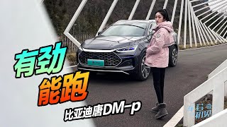 【4K】静静 | 比亚迪唐DM-p  有劲能跑 静静试驾比亚迪唐DM-p【车若初见】