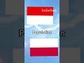 Indonesia 🇮🇩 VS Poland 🇵🇱 | @IndoGeoYt | Country Comparison | #short