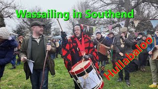 Wassailing in Southend (Hullabaloo)