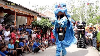 MAHA DEWA Pecak Welut aksi Barongsai ~ Dk.Nambo 2