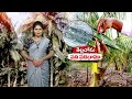 15th september 2023 annadata అన్నదాత full episode etv telugu