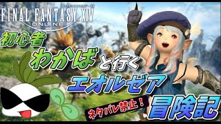 【FF14初見実況】完全初見わかばヒカセンと行くエオルゼア冒険記～ヒカセン大好き筋肉騎士との出会い～# 7