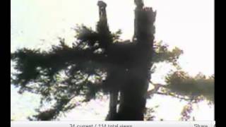 Mum from stump  to cu cam [6175].wmv