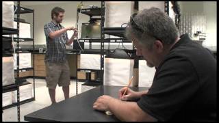 Undergraduate Research in Geosciences