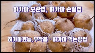 히카마 보관법 손질법 히카마 효능 부작용 먹는방법