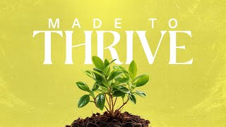 02/09/25 | Made to Thrive | Steve Mawston