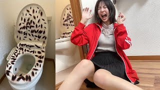 【閲覧注意】トイレにゴキブリ100匹ドッキリしかけたらちょっと漏らしやがったwwww