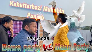 Kabuttarbazi Mukabla in Punjab 27 January2025 Bawa party Vs Maan party