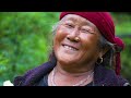 bamboo shoot tamako tarkari ra makaiko theplo nepali village life with parents