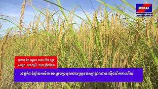 ខេត្តកំពង់ឆ្នាំងកសិករសម្រេចប្រមូលផលស្រូវវស្សាបានជាង៤ម៉ឺនហិកតាហើយ