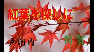 未来歩のお出かけ　紅葉を探しに筒賀編