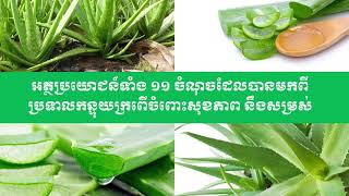 អត្ថប្រយោជន៍ទាំង១១ចំណុចដែលបានមកពីប្រទាលកន្ទុយក្រពើចំពោះសុខភាព និងសម្រស់