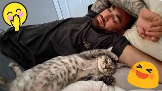 Funniest Cats 2024   Funny Cat Videos  CATS will make you LAUGH    7 part 2