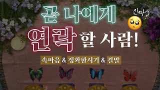 [타로] 그 사람에게 연락이 올까요🔮