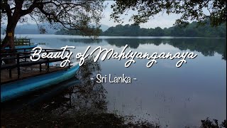 Beauty of Mahiyanganaya | Sri Lanka