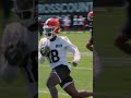 Deshaun Watson to David Bell on the final day of #brownsminicamp2024