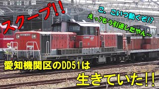 スクープ!! 【愛知機関区 DD51】まだ生きていた!!