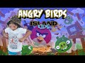 #Kids playing #AngryBirds 2 on Computer #IslandKids