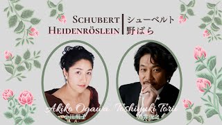 Schubert: Heidenröslein／シューベルト：野ばら  小川明子（アルト）／鳥井俊之（ピアノ）