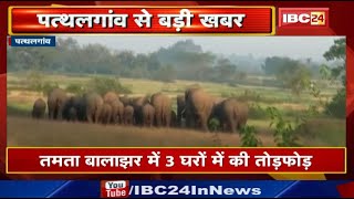 Pathalgaon Elephant Attack: 25 हाथियों के दल ने मचाया उत्पात| तमता बालाझर में 3 घरों में की तोड़फोड़