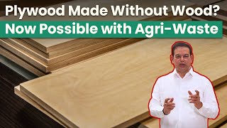 Plywood Made Without Wood? Now Possible with Agri-Waste