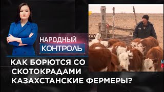 Как борются со скотокрадами казахстанские фермеры?