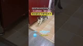 社会百态 | 流浪猫在女子家中生孩子，一天之后带走两只，结果又后悔了，现在留在女子家中坐月子。