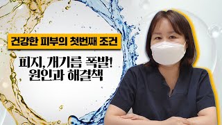 수부지 피부, 피지 개기름 폭팔하시는 분! 이 영상을 참고하세요.