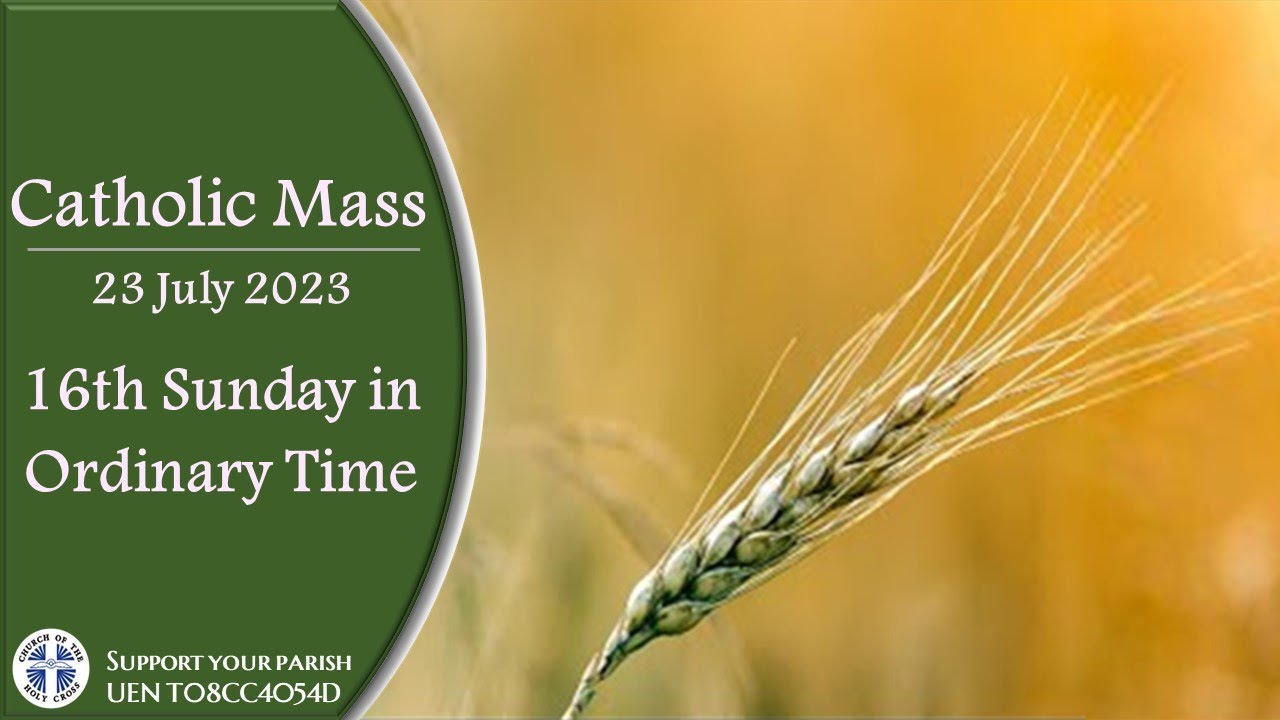 Catholic Mass - 16th Sunday In Ordinary Time 23 July 2023 - LIVESTREAM ...