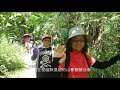 20200828莎拉旅遊及小蘋旅遊的貴賓蒞臨慕谷慕魚民宿參加翡翠谷深度知性套裝旅遊活動影片