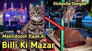 Billi Ki Dargah | Makhdoom Paak Ki Billi Ka Mazar | Kichocha Me Hai Ye Dargah | Bilai Bibi Mazar