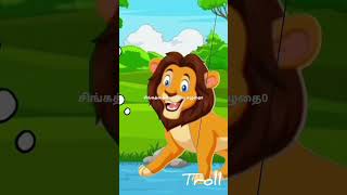 சிங்கத்தை ஏமாற்றிய கழுதை l troll stories tv tamil