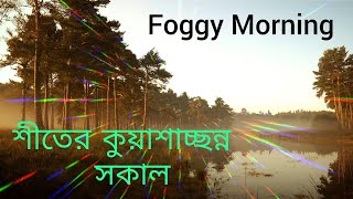 শীতের কুয়াশাচ্ছন্ন সকাল • Winter Foggy Morning • Empty Elevation •