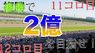 【2億を目指せ!】その日イチの複勝鉄板馬に1年転がし続けて大金ゲット!?11,12コロ目【複勝ころがし】【競馬】【長期企画】