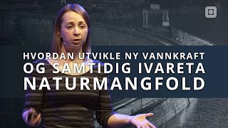 Hvordan utvikle ny vannkraft og samtidig ivareta naturmangfold | NTNU Kveld